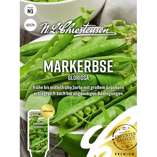 Groch Gloriosa interface.image 1 interface.art 86059