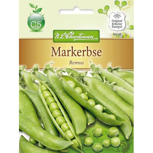 Groch Remus interface.image 1 interface.art 78840