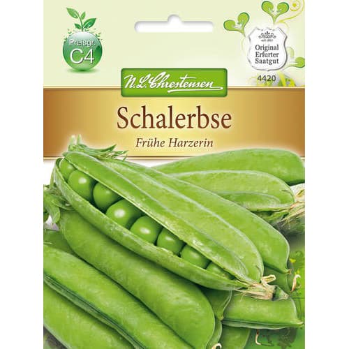 Groch Fruhe Harzerin interface.image 1 interface.art 78841