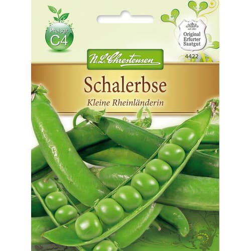 Groch Kleine Rheinlanderin interface.image 1 interface.art 78842