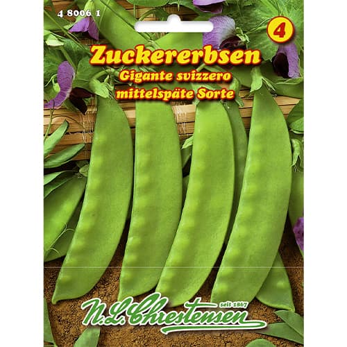 Groch Gigante svizzero interface.image 1 interface.art 86109