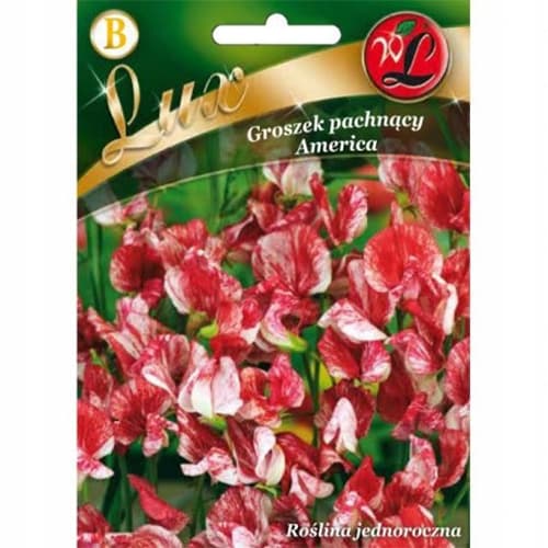 Groszek pachnący America interface.image 1 interface.art 86746