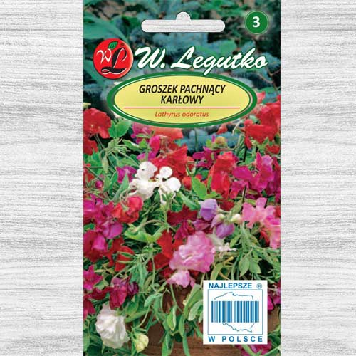 Groszek pachnący karłowy, mieszanka Legutko interface.image 1 interface.art 78566