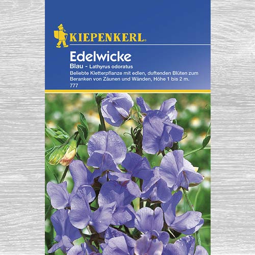 Groszek pachnący niebieski interface.art zdjęcie 1 Groszek pachnący niebieski interface.image 1 interface.art 77414