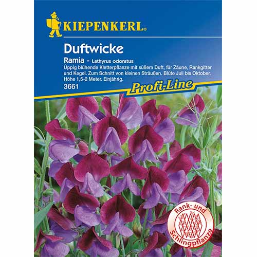 Groszek pachnacy Ramia interface.art zdjęcie 1 Groszek pachnacy Ramia interface.image 1 interface.art 96531