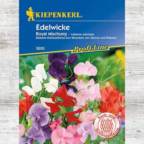 Groszek pachnący Royal, mieszanka interface.image 1 interface.art 86263