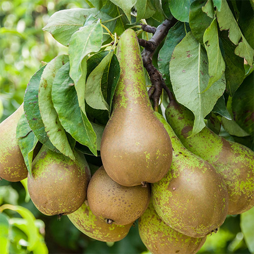 Grusza Konferencja interface.image 1 interface.art 7419