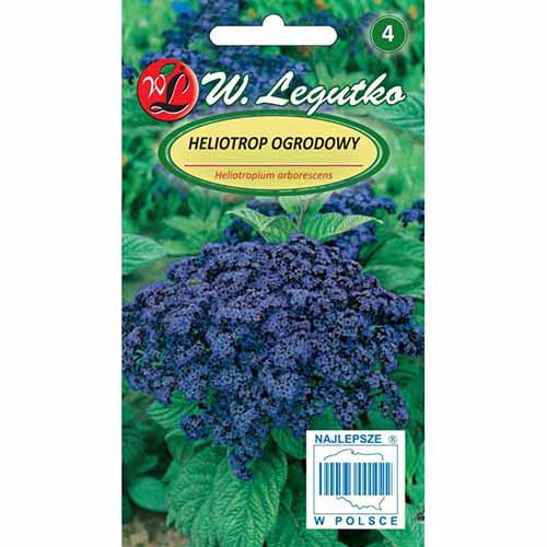 Heliotrop ogrodowy ciemnoniebieski Legutko interface.art zdjęcie 1 Heliotrop ogrodowy ciemnoniebieski Legutko interface.image 1 interface.art 96742