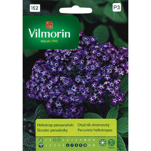 Heliotrop peruwiański Vilmorin interface.art zdjęcie 1 Heliotrop peruwiański Vilmorin interface.image 1 interface.art 86638