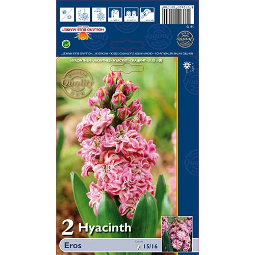 Hiacynt Eros interface.image 1 interface.art 67591