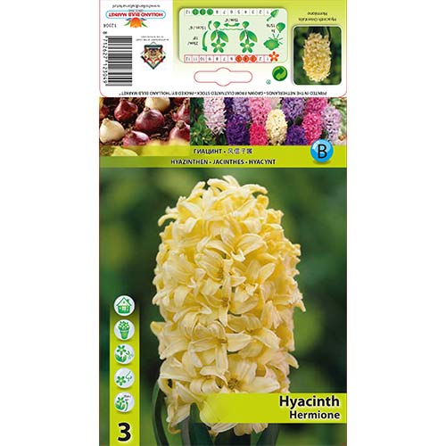 Hiacynt Hermione interface.image 1 interface.art 70271