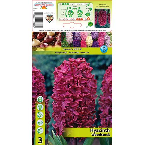 Hiacynt Woodstock interface.image 1 interface.art 67584