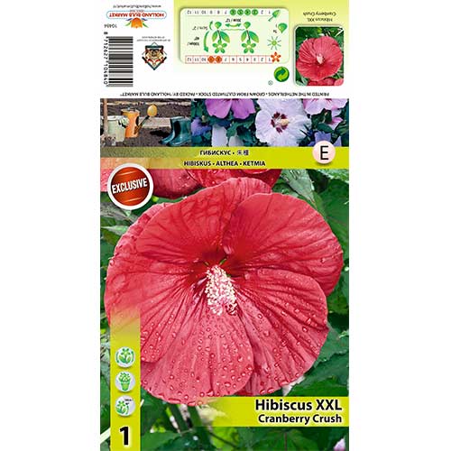 Hibiskus bylinowy XXL Cranberry Crush interface.image 1 interface.art 70415