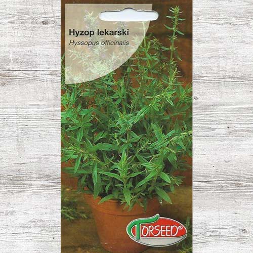 Hyzop lekarski interface.image 1 interface.art 87008