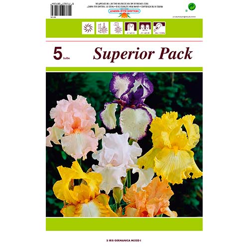 Irys bródkowy (Kosaciec), mix kolorów interface.image 1 interface.art 76464