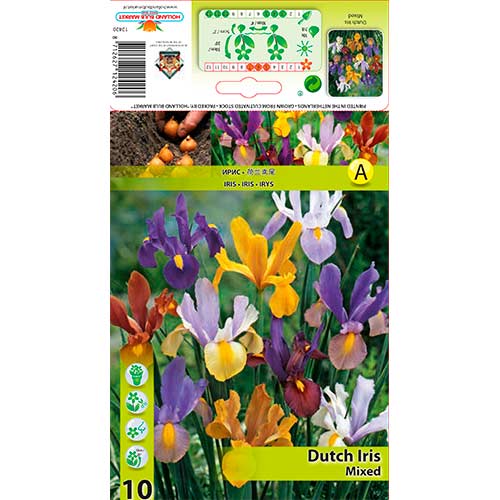 Irys holenderski (Kosaciec), mix kolorów interface.image 1 interface.art 76229