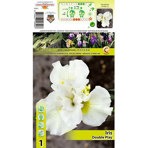 Irys syberyjski (Kosaciec) Double Play interface.image 1 interface.art 70420