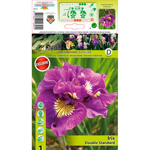 Irys syberyjski (Kosaciec) Double Standard interface.image 1 interface.art 76287