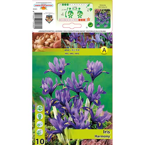 Irys żyłkowany Harmony interface.image 1 interface.art 67381