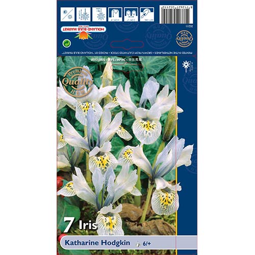 Irys żyłkowany Katharine Hodgkin interface.image 1 interface.art 70226