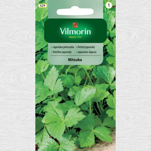 Japońska pietruszka Mitsuba interface.art zdjęcie 1 Japońska pietruszka Mitsuba interface.image 1 interface.art 69706