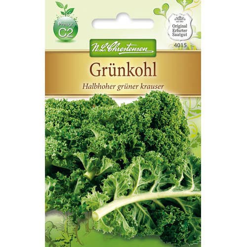 Kapusta jarmuz Halbhoher gruner Krauser interface.image 1 interface.art 78716