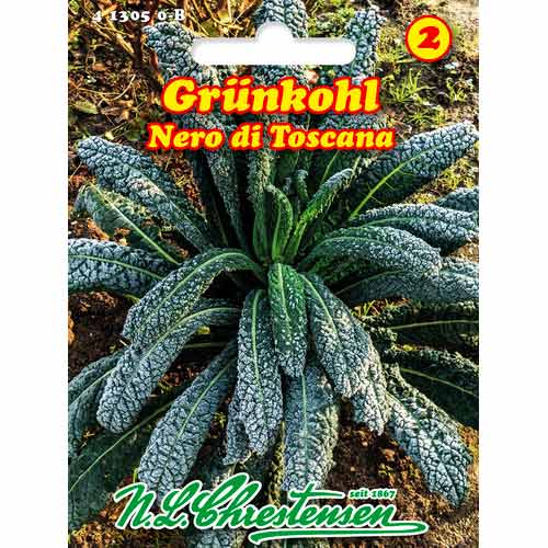 Kapusta jarmuz Nero di Toscana interface.image 1 interface.art 50050