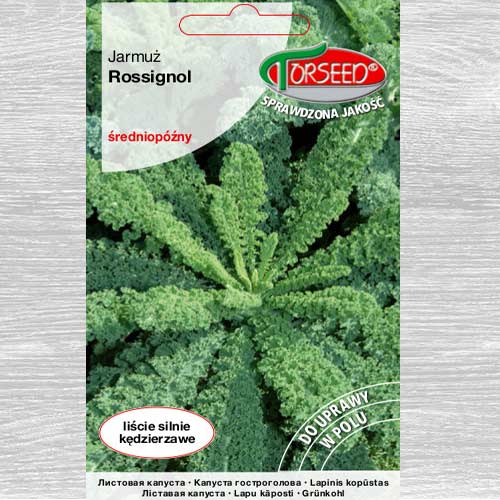 Jarmuż Rossignol interface.image 1 interface.art 77618