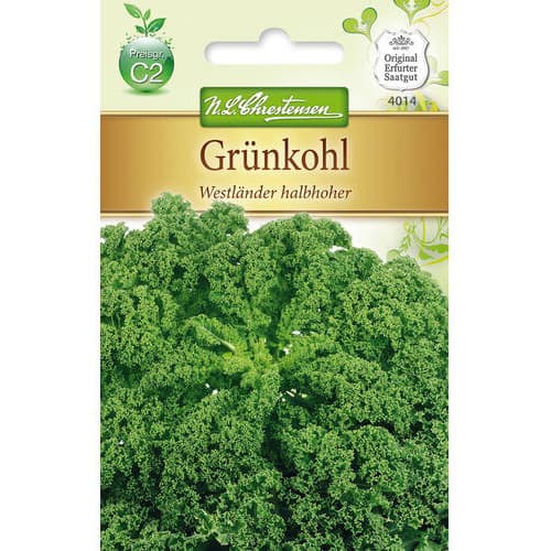 Kapusta jarmuz Westlander halbhoher interface.image 1 interface.art 78715