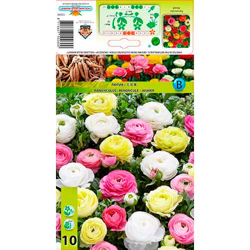 Jaskier Pastell, mix kolorów interface.image 1 interface.art 76356