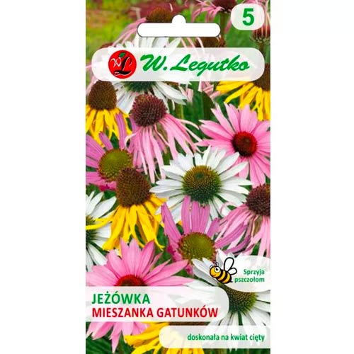 Jeżówka, mix interface.image 1 interface.art 50104