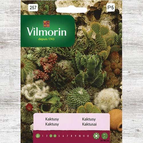 Kaktusy, mieszanka interface.image 1 interface.art 86641