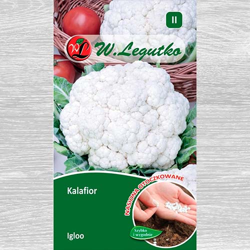 Kalafior Igloo  interface.image 1 interface.art 69425