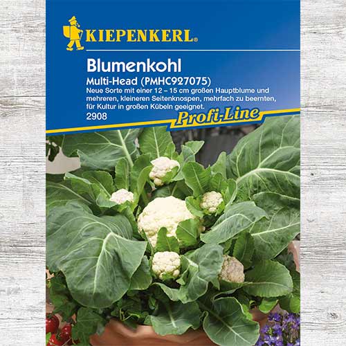 Kalafior Multi-Head F1 interface.image 1 interface.art 86394