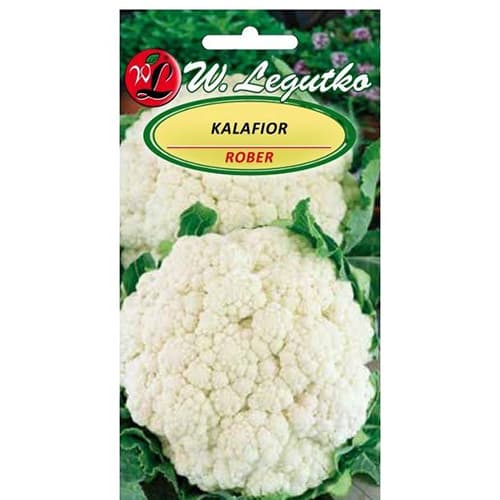 Kalafior Rober interface.art zdjęcie 1 Kalafior Rober interface.image 1 interface.art 86870