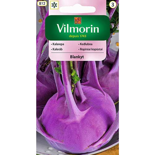 Kalarepa Blankyt fioletowa Vilmorin interface.image 1 interface.art 77717