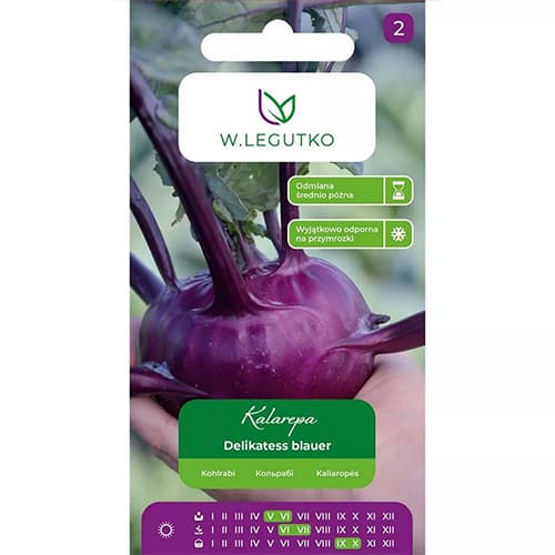 Kapusta kalarepa Delikatess blauer interface.image 1 interface.art 78471