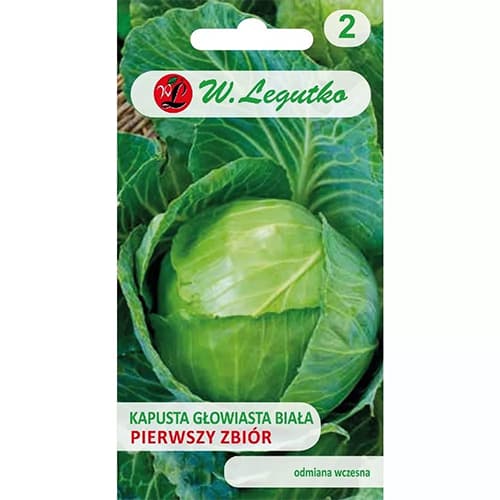 Kapusta biala Pierwszy Zbior interface.image 1 interface.art 69482