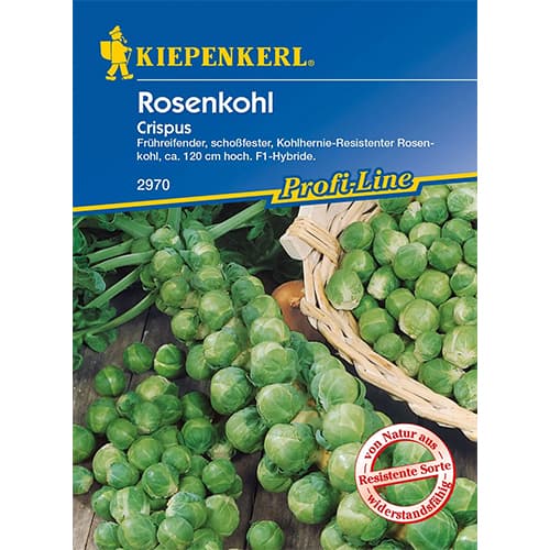 Kapusta brukselska Crispus interface.image 1 interface.art 96658