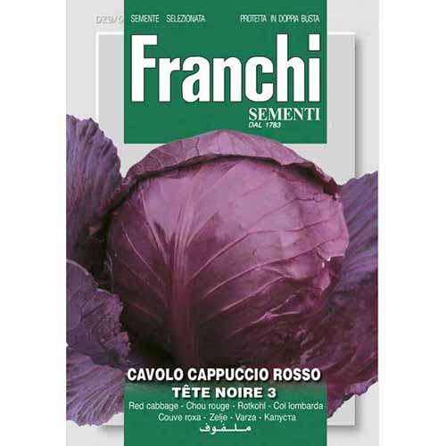 Kapusta czerwona Tete Noire 3 Morami interface.image 1 interface.art 87194