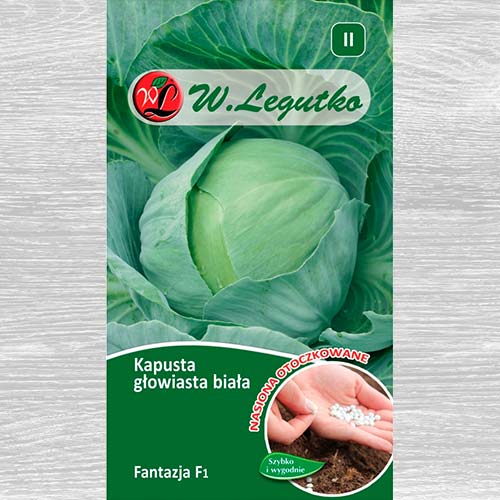 Kapusta głowiasta biała Fantazja F1  interface.image 1 interface.art 69427