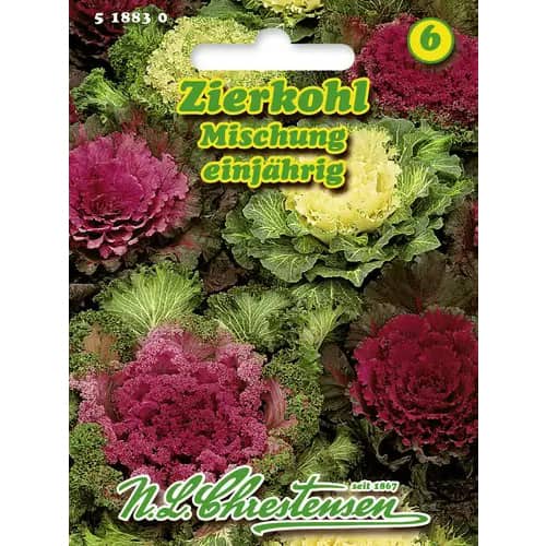 Kapusta ozdobna, mix kolorow interface.image 1 interface.art 96404