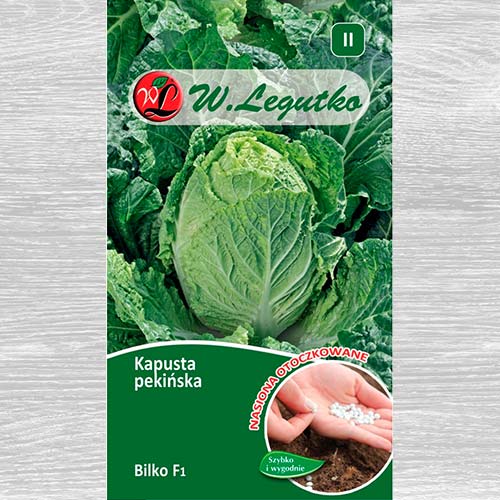 Kapusta pekińska Bilko F1 interface.image 1 interface.art 69429