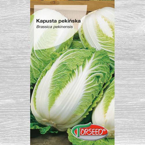 Kapusta pekińska Bristol interface.image 1 interface.art 77620