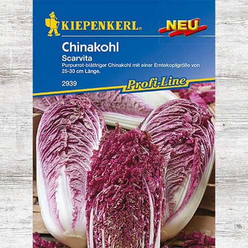 Kapusta pekińska Scarvita F1 interface.art zdjęcie 1 Kapusta pekińska Scarvita F1 interface.image 1 interface.art 86430