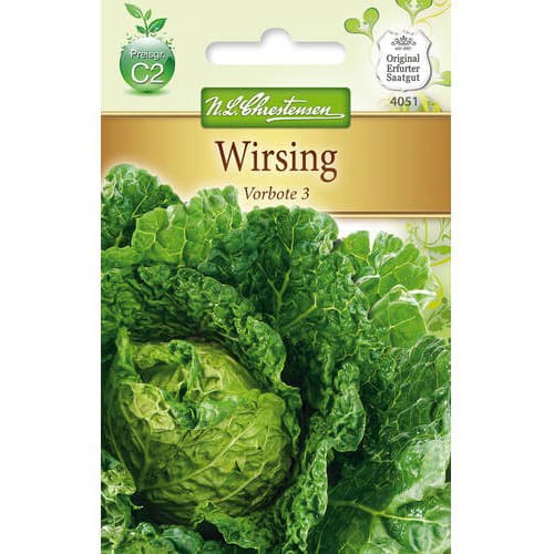 Kapusta wloska Vorbote 3 interface.image 1 interface.art 78727