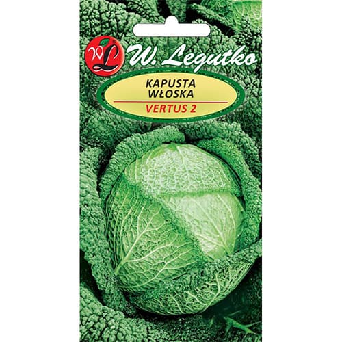 Kapusta wloska Vertus 2 interface.art zdjęcie 1 Kapusta wloska Vertus 2 interface.image 1 interface.art 78476