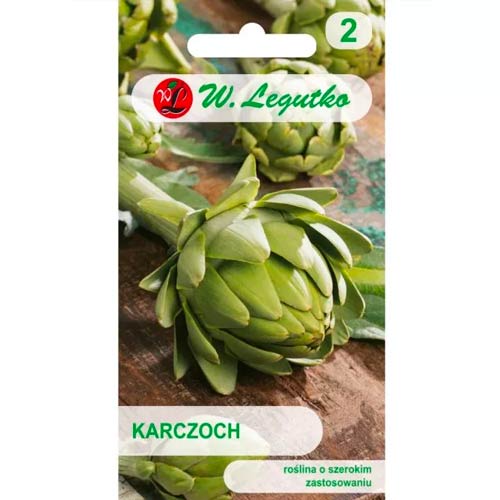 Karczoch Gros Vert de Laon interface.art zdjęcie 1 Karczoch Gros Vert de Laon interface.image 1 interface.art 50130