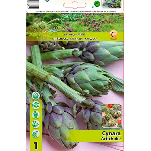 Karczoch zwyczajny interface.art zdjęcie 1 Karczoch zwyczajny interface.image 1 interface.art 70502