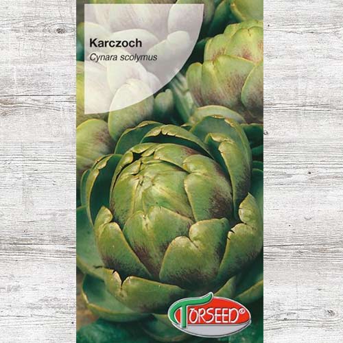 Karczoch interface.art zdjęcie 1 Karczoch interface.image 1 interface.art 87010